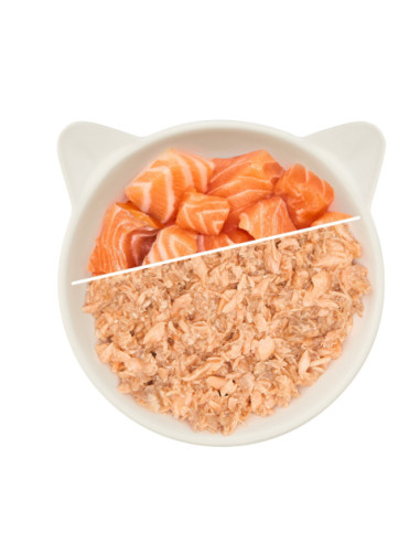 WOW Cat Filet Lachs - Łosoś 70g