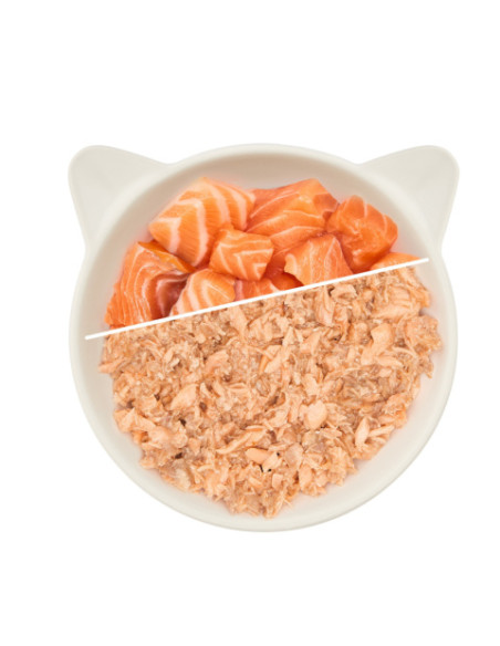 WOW Cat Filet Lachs - Łosoś 70g