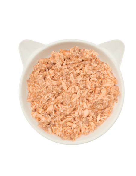 WOW Cat Filet Lachs - Łosoś 70g