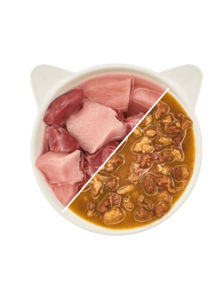 WOW Cat Multipack Fillets in Sauce - Zestaw karm Filety w sosie