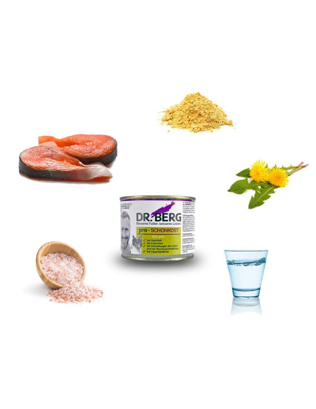 Dr. Berg Cat Pro-SCHONKOST na schorzenia trzustki, wątroby, żołądka 190g