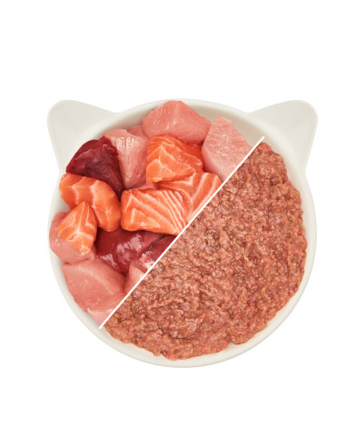WOW Cat Pate Huhn & Lachs - Kurczak i łosoś 125g