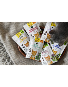 GimCat Crunchy Snack Kurczak z serem 50g 2