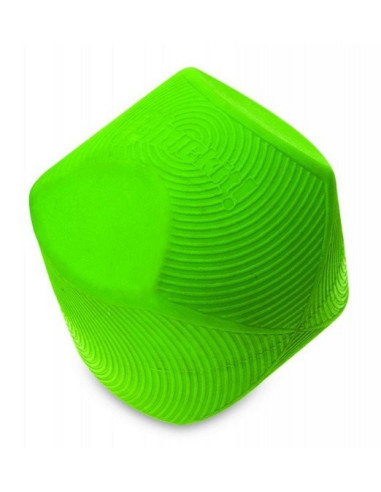Chuckit! Erratic Ball Medium